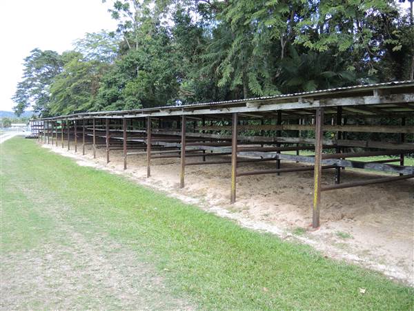 Mossman Showgrounds (21/08/2014)