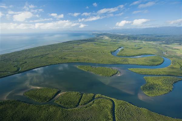 Daintree River (25/08/2014)