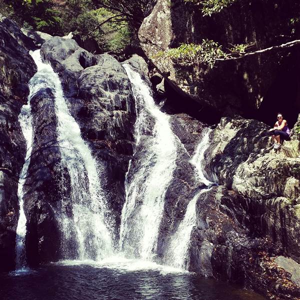 Spring Creek - near Port Douglas (3/10/2014)