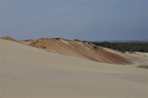 Mulgumpin (Moreton Island) - Big Sand Hills (11/04/2015 - Credits: Angus Ledgerwood)