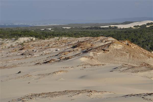 Mulgumpin (Moreton Island) - Big Sand Hills (11/04/2015 - Credits: Angus Ledgerwood)