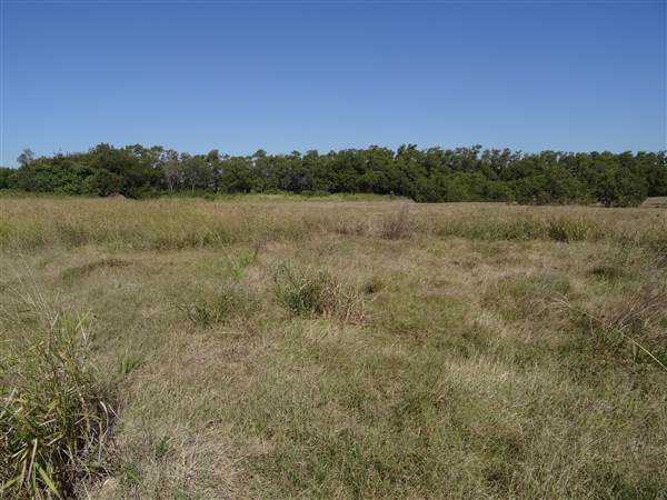 Fort Lytton National Park - General (5/06/2015)