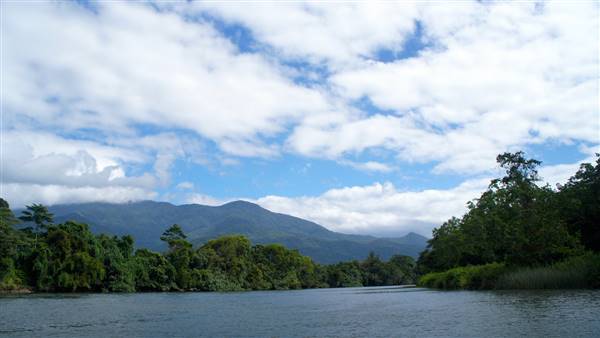 Mulgrave River (Cairns Region) (25/06/2015)