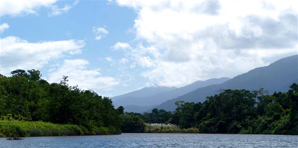 Mulgrave River (Cairns Region) (25/06/2015)