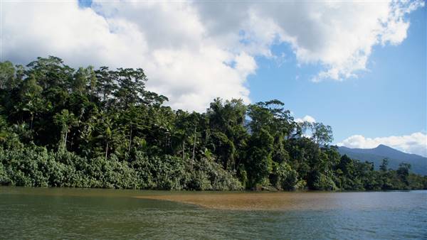 Mulgrave River (Cairns Region) (25/06/2015)