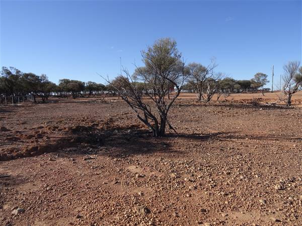 Longreach - Mount Slowcombe (22/07/2015 - Credits: Neil McGregor)