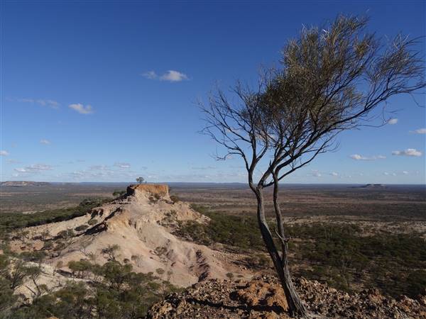 Longreach - Mount Slowcombe (22/07/2015 - Credits: Neil McGregor)