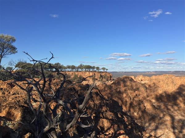 Longreach - Mount Slowcombe (22/07/2015 - Credits: Neil McGregor)
