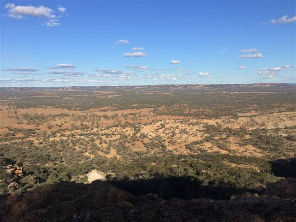 Longreach - Mount Slowcombe (22/07/2015 - Credits: Neil McGregor)