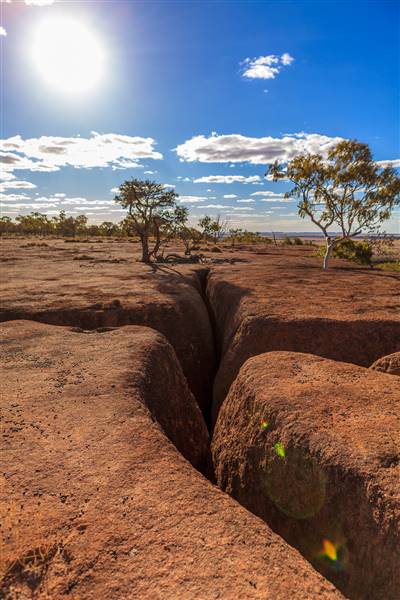 Age Of Dinosaurs (Rangelands) (22/07/2015)