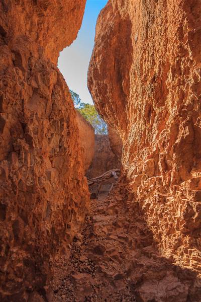 Rangelands Station (23/07/2015 - Credits: Neil McGregor)