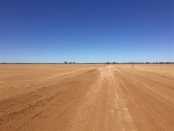 Winton-Jundah Road (24/07/2015 - Credits: Neil McGregor)