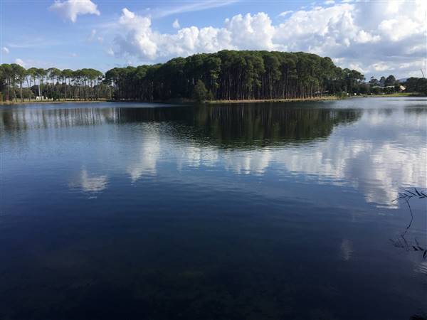 Pine Forest, Riverside Skate Park & Open Sports Fields - Pizzey Park