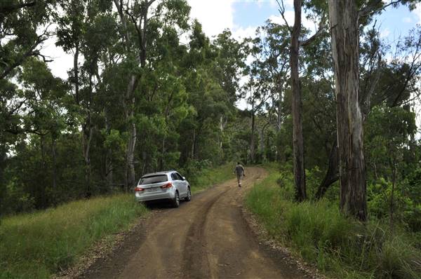 Dirt Road / Wilderness / Pastures (3/04/2017)