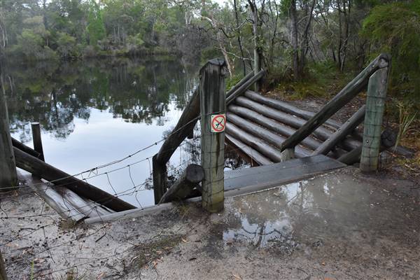 Harrys Hut Area (Noosa Everglades) (7/07/2017 - Credits: Kathryn Metcalfe)