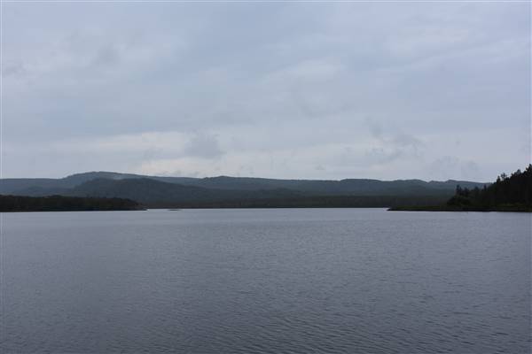 Fig Tree Point (Noosa Everglades) (13/07/2017 - Credits: Kathryn Metcalfe)