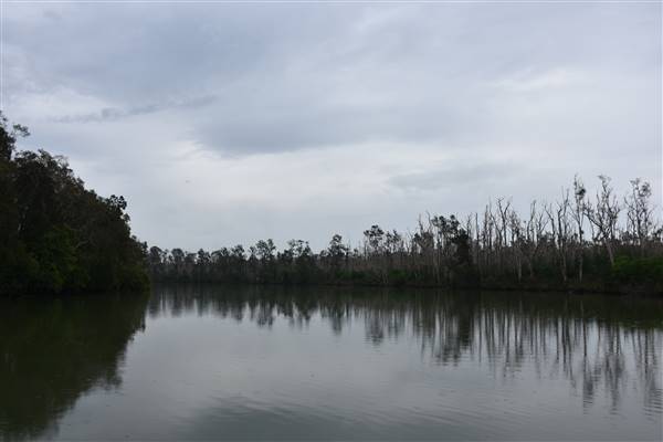 Johns Landing (Noosa Everglades) (13/07/2017 - Credits: Kathryn Metcalfe)