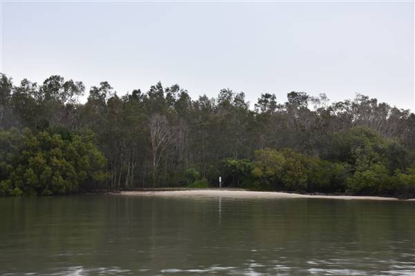 Noosa Everglades - Makepeace Island (13/07/2017 - Credits: Kathryn Metcalfe)