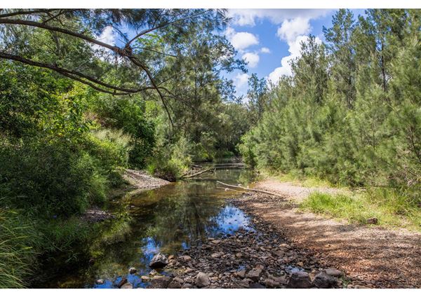 Bunya River Crossing (Albany Creek) (1/01/2018 - Credits: Moreton Bay Region Industry and Tourism)