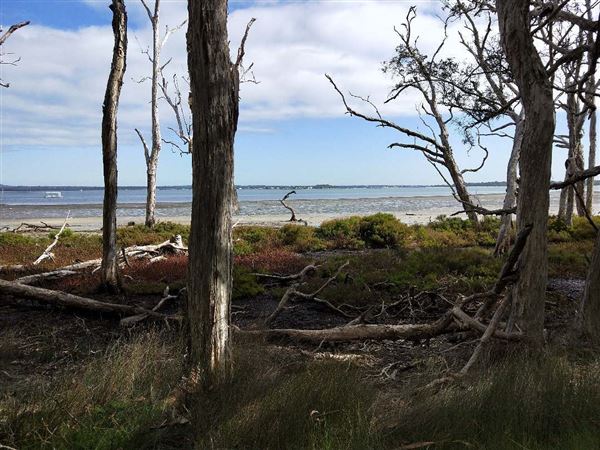 Macleay Island (9/07/2018 - Credits: unknown)