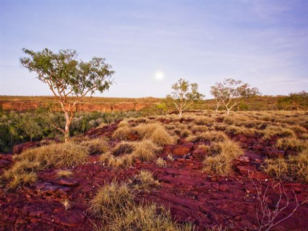 Lawn Hill Gorge (Camooweal Region) (1/06/2019 - Credits: unknown)