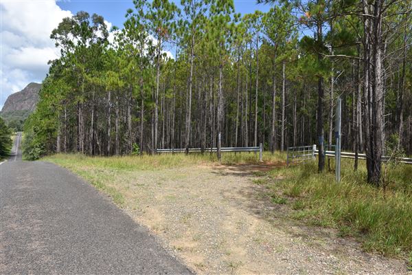 Marshs Road - Mt Tibrogargan (b/g) (15/03/2019 - Credits: Kathryn Metcalfe)