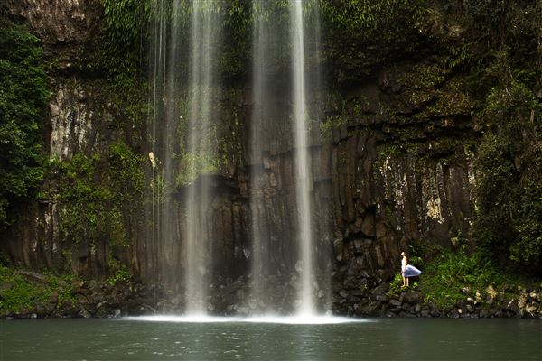 Milla Milla - Region (1/11/2019 - Credits: Tourism Tropical North Queensland)