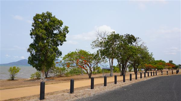 Cardwell - Coastline & Jetty (21/11/2019 - Credits: © Karen Jones)