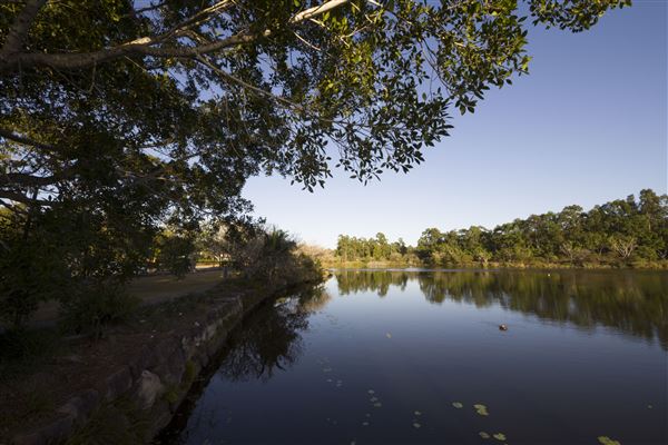 Spring Lake Park (11/05/2020 - Credits: Ipswich City Council)