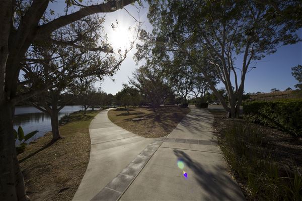 Spring Lake Park (11/05/2020 - Credits: Ipswich City Council)