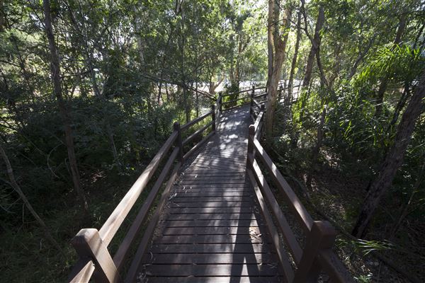 Bob Gibbs Park (14/05/2020 - Credits: Ipswich City Council)