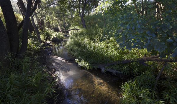 Jack Barkley Park (26/05/2020 - Credits: Ipswich City Council)
