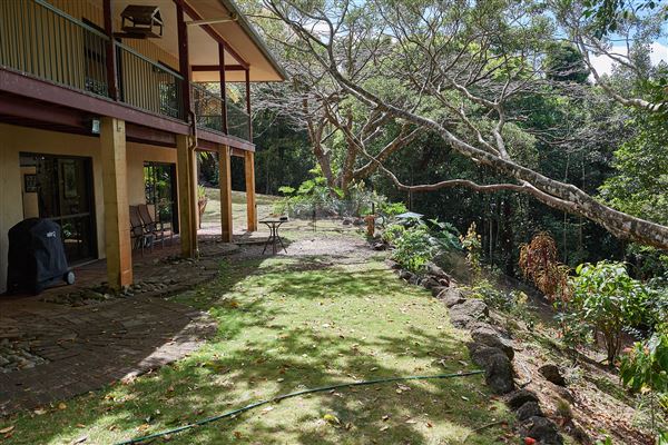 Lumholtz Lodge (7/09/2018 - Credits: John de Rooy, Atherton Tableland Photography)