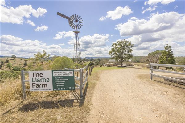 The Llama Farm (29/09/2020 - Credits: Ipswich City Council)