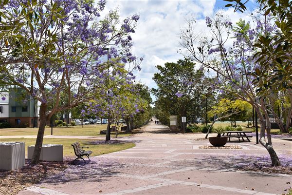 University of Southern Queensland / Springfield Campus - Exteriors (26/10/2020 - Credits: Kathryn Metcalfe)