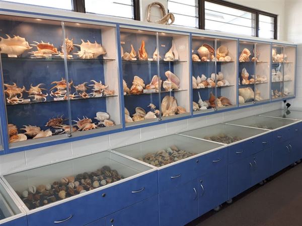 Shell World Yeppoon - Museum (12/06/2019 - Credits: Capricorn Enterprise)