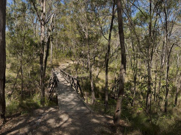 Karawatha Forest Park - Overview - Image Sourced - Do Not Make Public (10/12/2020)