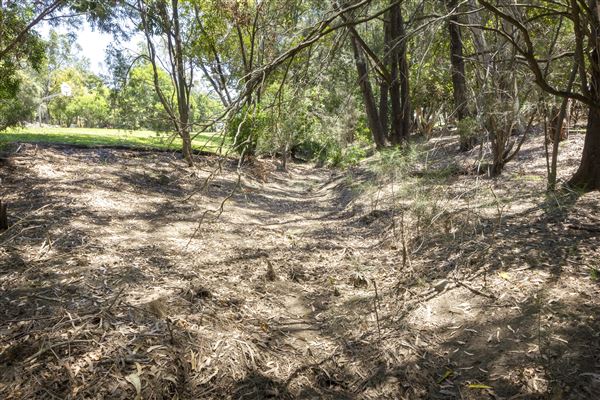 North Ipswich Wetlands Park (5/01/2021 - Credits: Ipswich City Council)