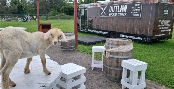 Bearded Dragon Boutique Hotel (8/09/2021 - Credits: Courtesy of Bearded Dragon Boutique Hotel)