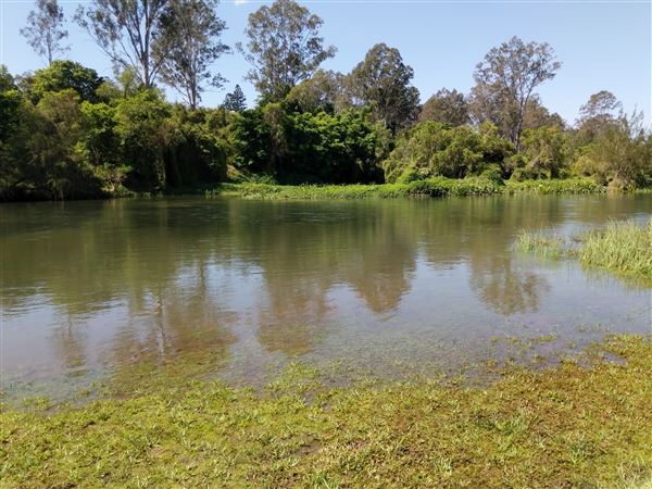 Parkland on the River - Colleges Crossing Recreation Reserve (20/09/2021 - Credits: Kathryn Metcalfe)