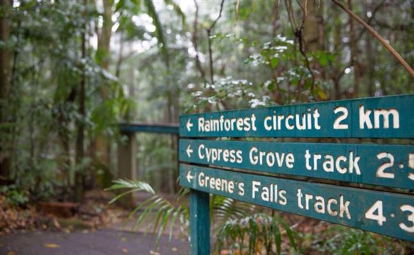Mt Glorious (25/07/2022 - Credits: www.visitmoretonbayregion.com.au)