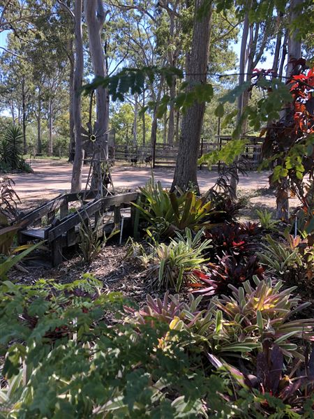 Fraser Coast RV Park (4/08/2022 - Credits: Suzanne Taylor)