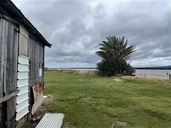Cabbage Tree Point (6/10/2022 - Credits: Dugald McMasters)