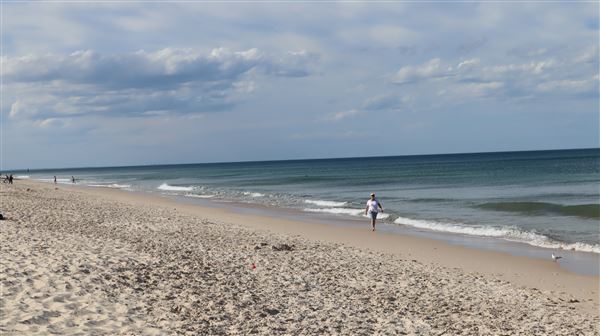 Woorim Beach - Bribie Island (16/11/2022 - Credits: Brendan O'Sullivan)