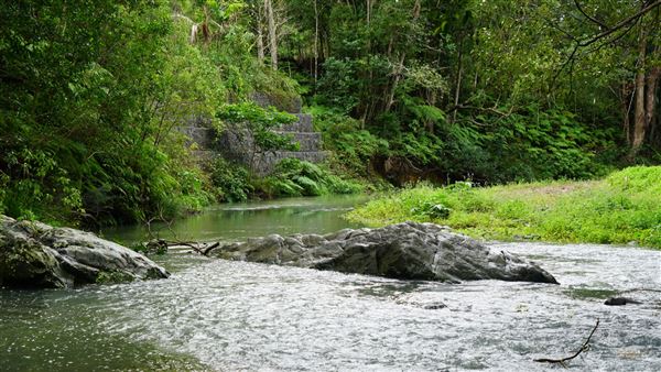 Currumbin Rock Pools (8/07/2019)