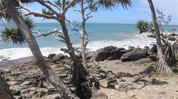 North of Boiling Pot/Tea Tree Bay (2/12/2022 - Credits: Brendan O'Sullivan)