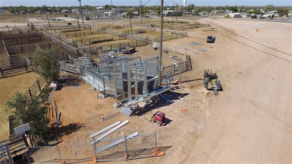 Winton Sale Yards (13/12/2022 - Credits: Winton Shire Council)