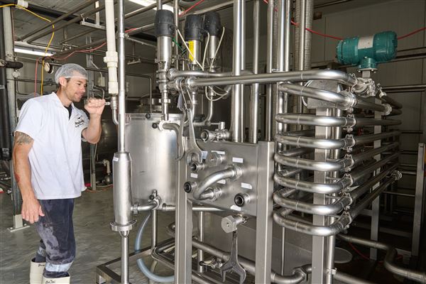 Mungalli Creek Bio-Dynamic Dairy (4/02/2023 - Credits: John de Rooy, Atherton Tableland Photography)