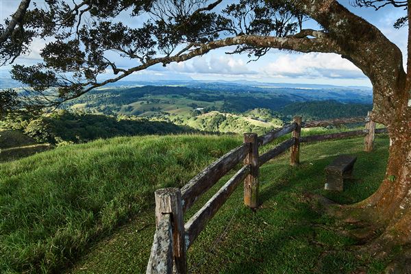 Millaa Millaa Lookout (5/12/2022 - Credits: John de Rooy, Atherton Tableland Photography)