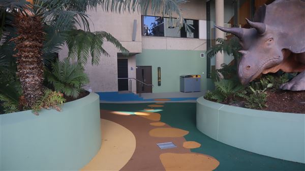 Queensland Museum - Interior (5/12/2022 - Credits: Brendan O'Sullivan)